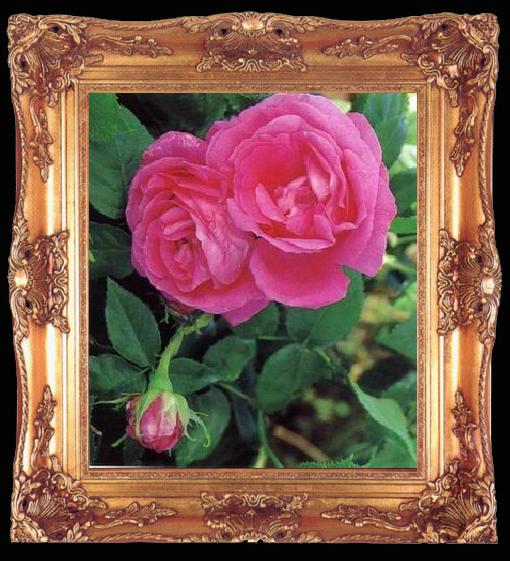 framed  unknow artist Still life floral, all kinds of reality flowers oil painting 326, Ta009